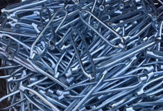 開體花蘭本身所具有的優(yōu)勢(shì)